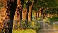 糖心app是啥-揭秘糖心app,互联网社交的新潮流